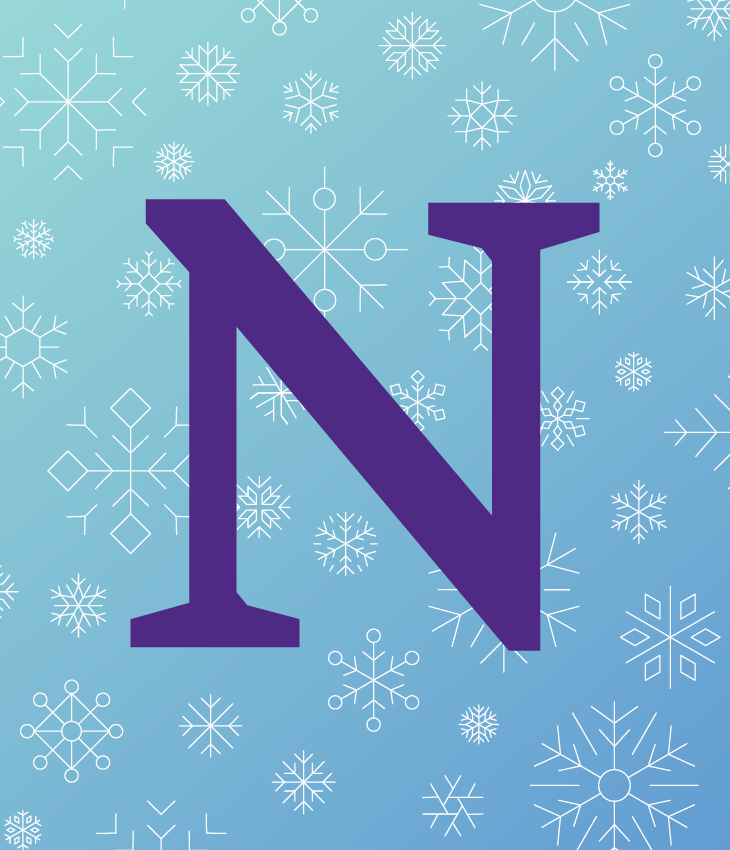 Northwestern N with winter background